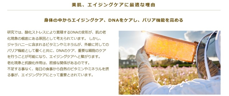 �v���~�A���I�[�K�j�b�N�W�����n�j�[���T�C�g